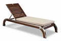 Regelbare Loungestoel van Hout en RVS